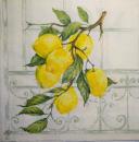 067 Lemons,  Oranges - 3 ply - Ihr